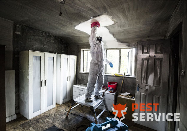 Профессиональная уборка помещений после пожара в Щёлково от 2500 руб: удаление сажи, копоти и запаха гари, глубокая очистка поверхностей и восстановление чистоты. Быстро, безопасно и эффективно.